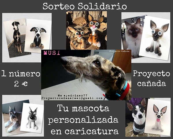 SORTEO Mascota en Caricatura + Camiseta solidaria