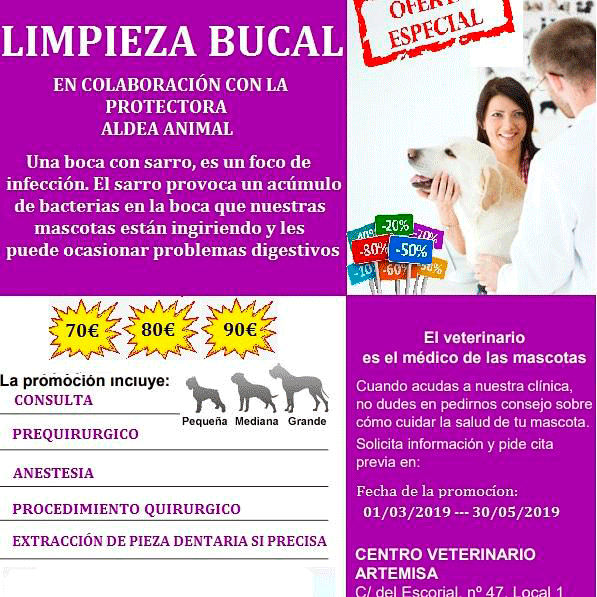 Limpieza Bucal para su Perro