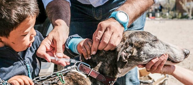 Proyecto Cañada, Amor por los animales