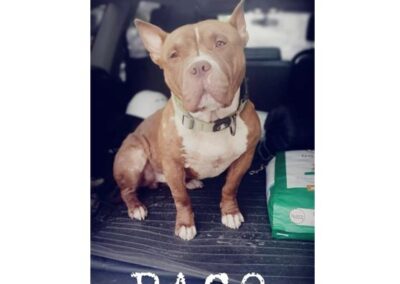 Paco