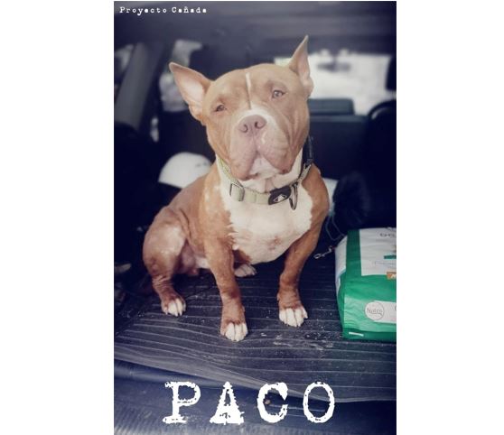 Paco