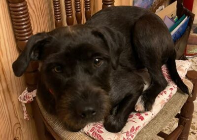 Estrella