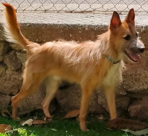 Golfo(5)