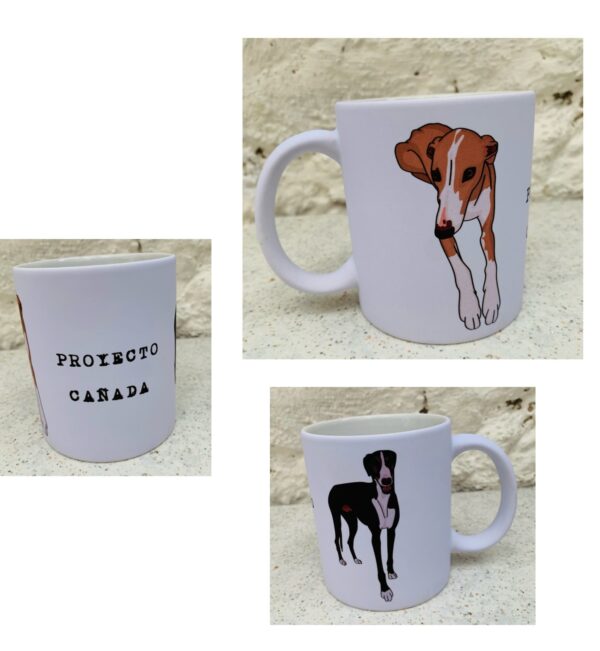 Tazas Proyecto Cañada - Imagen 4