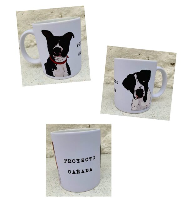 Tazas Proyecto Cañada - Imagen 5