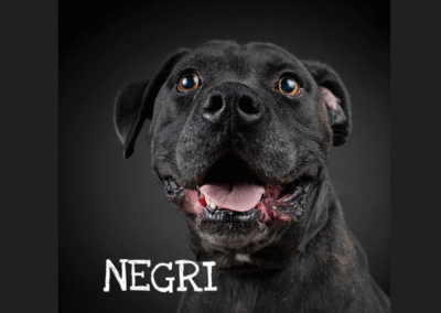 Negri