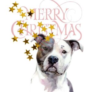 POSTAL DE NAVIDAD 10