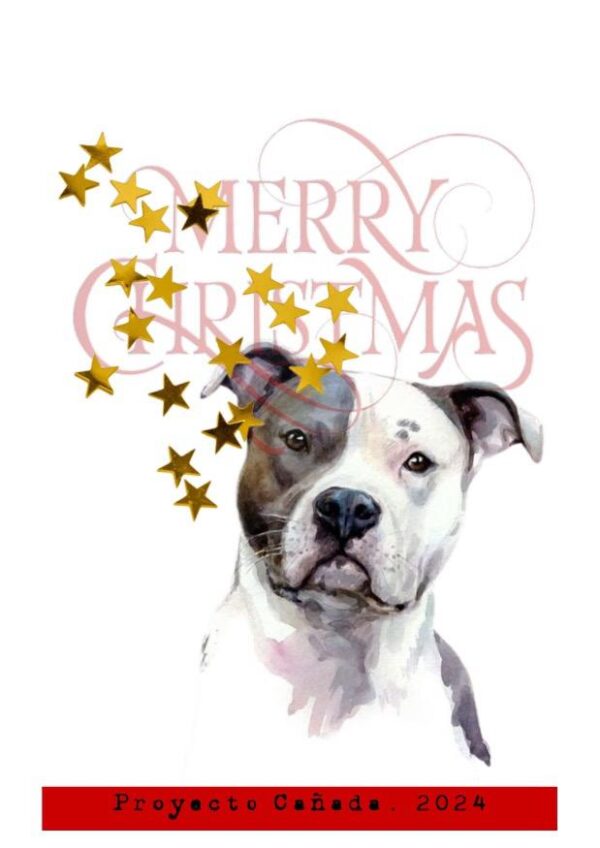 POSTAL DE NAVIDAD 10