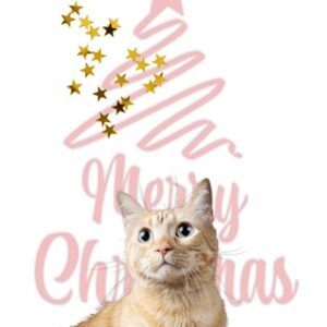 POSTAL DE NAVIDAD 11