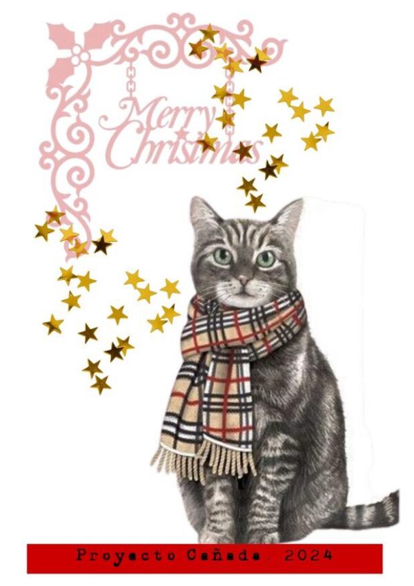 POSTAL DE NAVIDAD 12