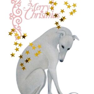 POSTAL DE NAVIDAD 13