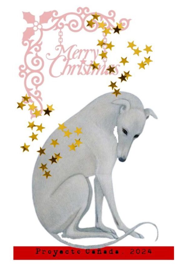 POSTAL DE NAVIDAD 13