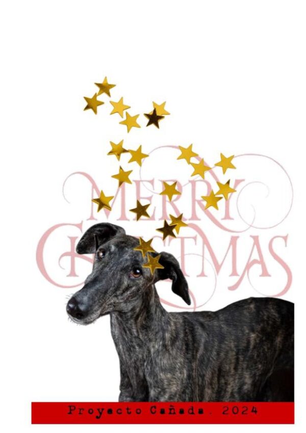 POSTAL DE NAVIDAD 02