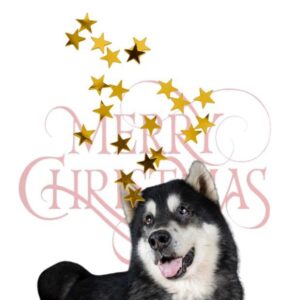 POSTAL DE NAVIDAD 05