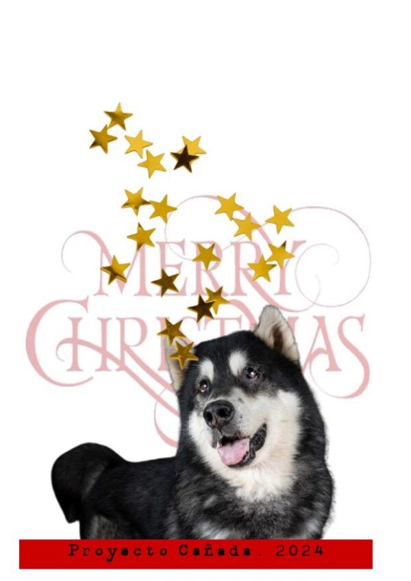 POSTAL DE NAVIDAD 05