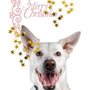 POSTAL DE NAVIDAD 07