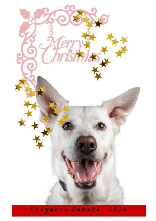 POSTAL DE NAVIDAD 07