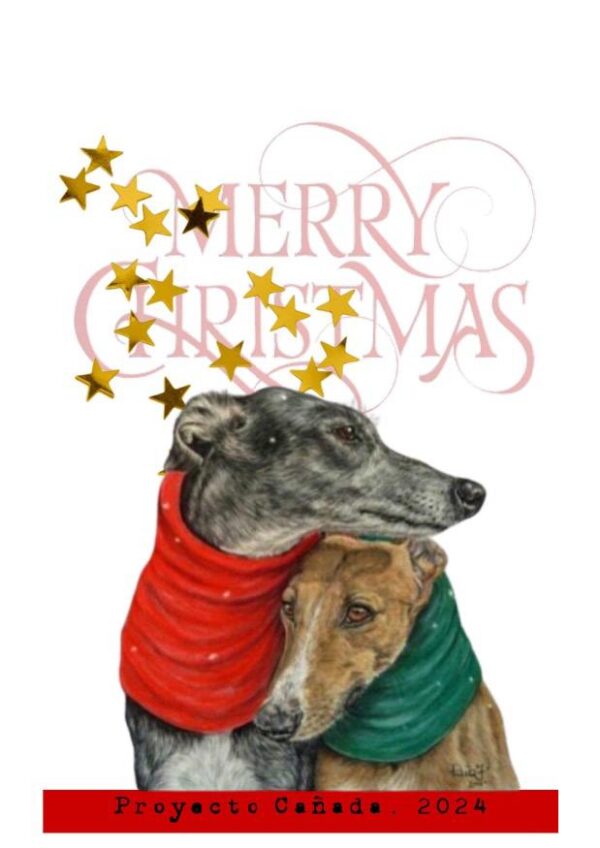 POSTAL DE NAVIDAD 08