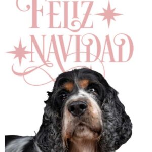 POSTAL DE NAVIDAD 09