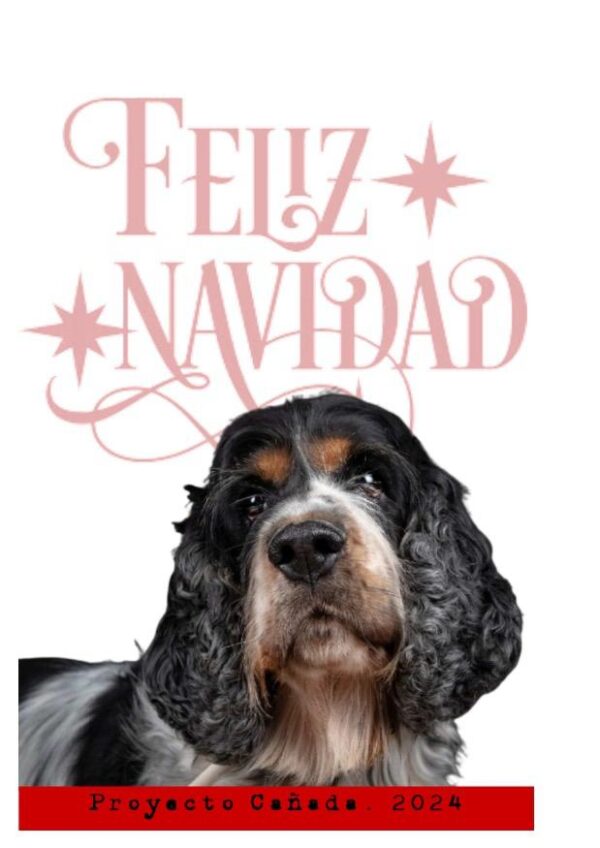 POSTAL DE NAVIDAD 09