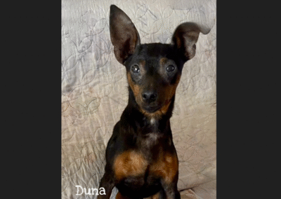 Duna