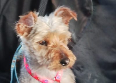 Betty