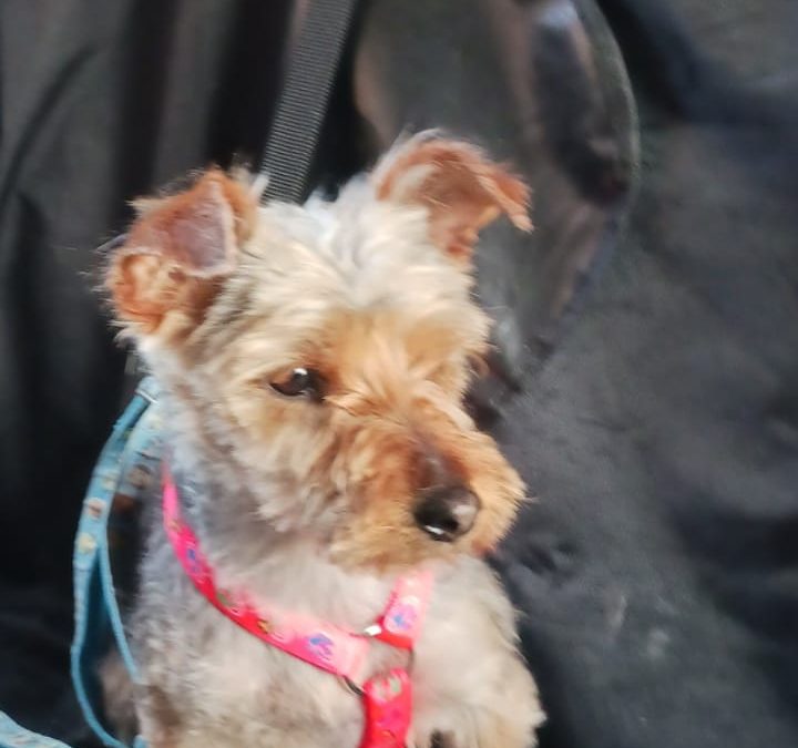 Betty