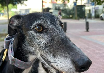 Gina