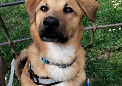 Hugo
