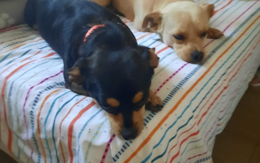 Leo y Lia