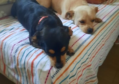Leo y Lia