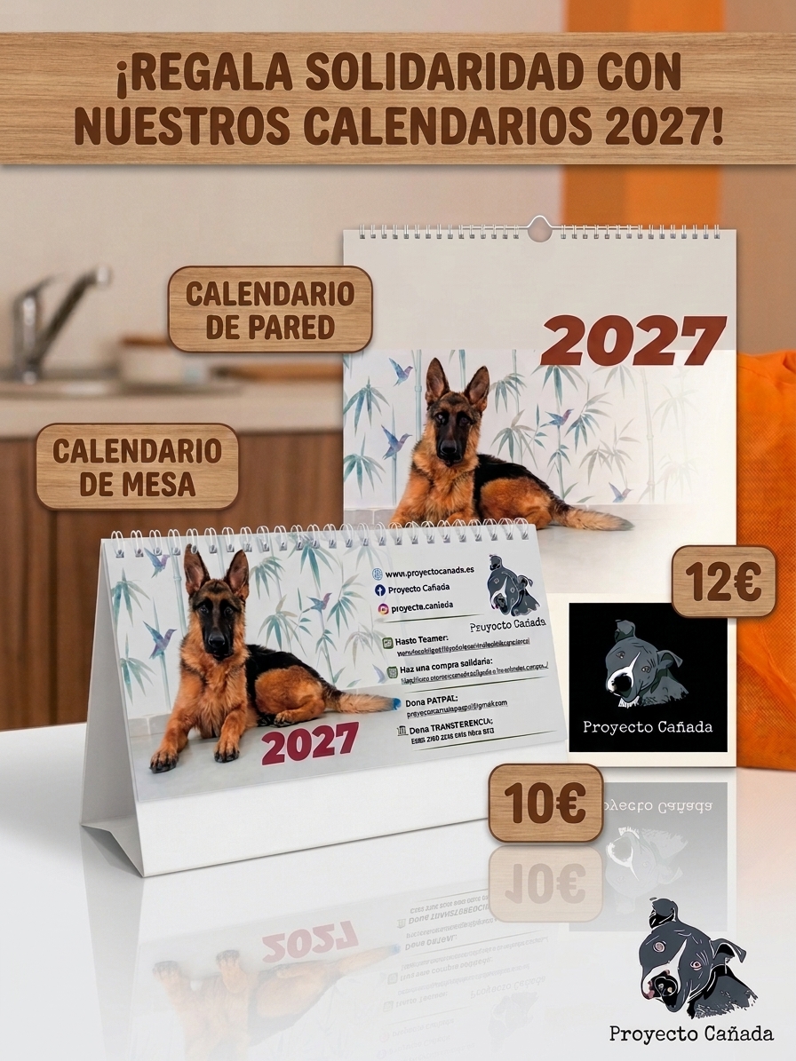 Calendario 2027