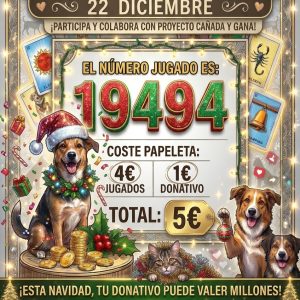 Loteria Navidad